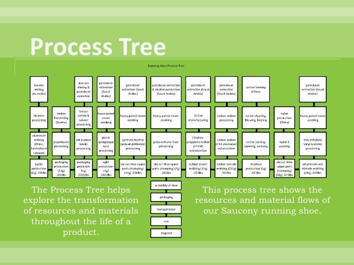 Life Cycle Analysis of a Running Shoe