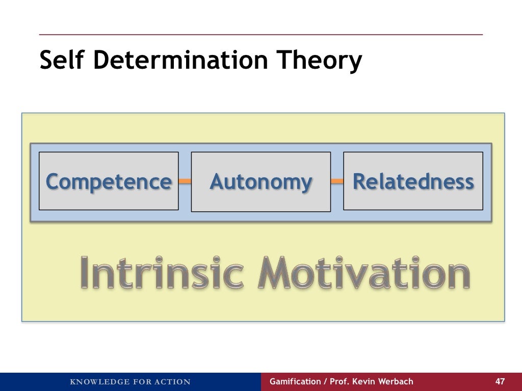Self Determination Autonomy Relatedness