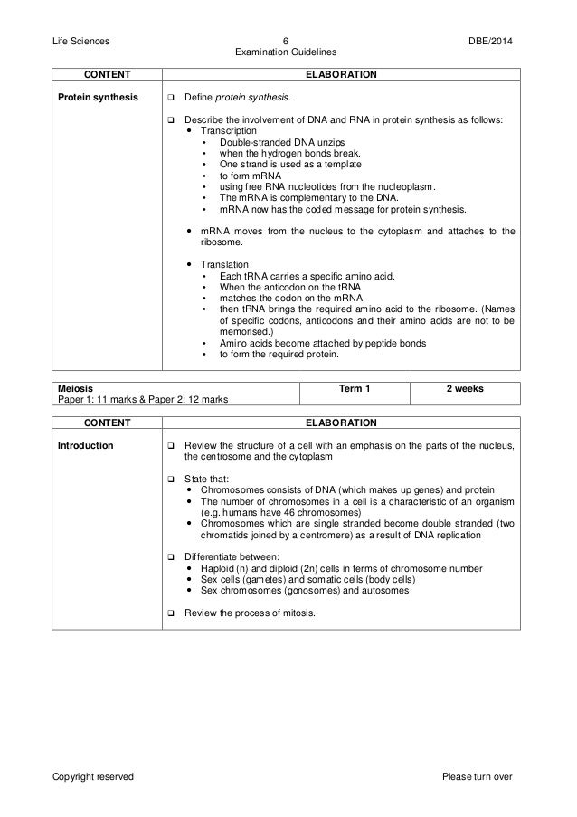 life science essay life science essay