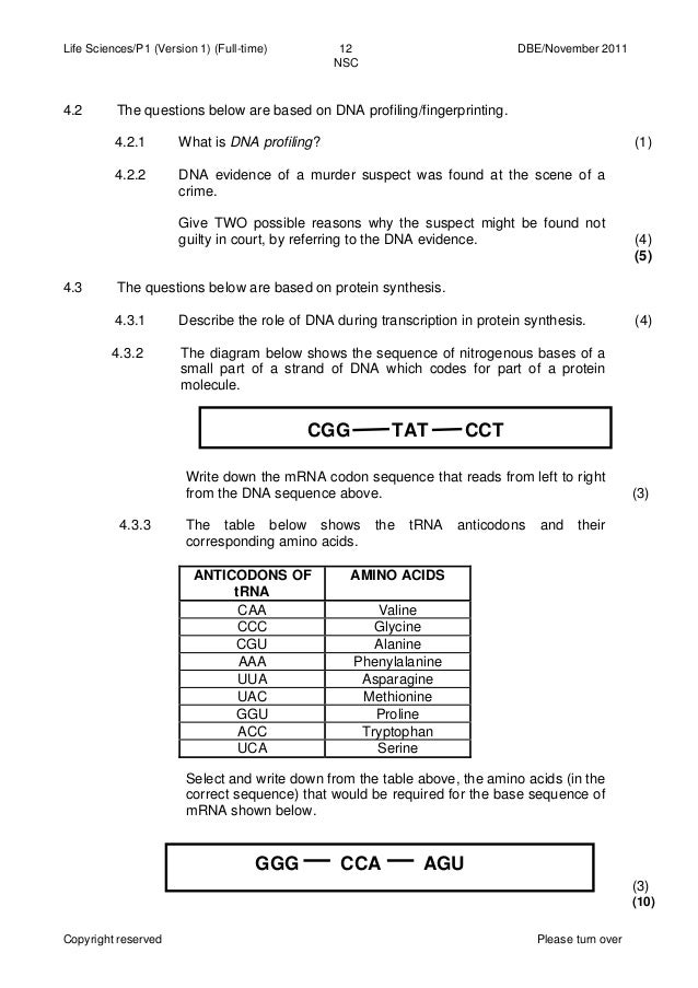 dna notes for grade 9 Dna and protein synthesis - “life is a three letter word” - chapter notes raycroft notes - dna & protein synthesis - student 2000 page 1. dna notes for grade 9 Dna and protein synthesis - “life is a three letter word” - chapter notes raycroft notes - dna & protein synthesis - student 2000 page 1.