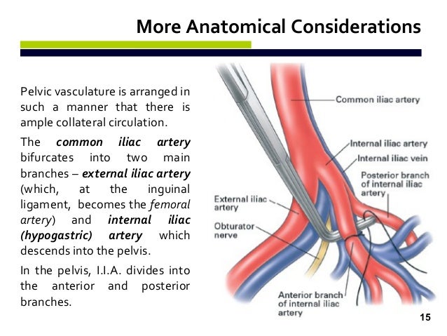Degree 4 recurrent cervical cancer can cervical most cancers motive kidney contamination
