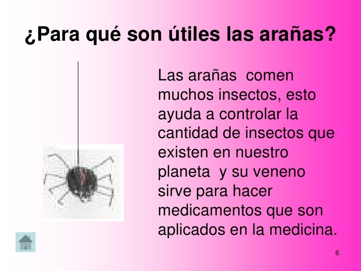 El martillo tora llevar con la cruz ortodoxa