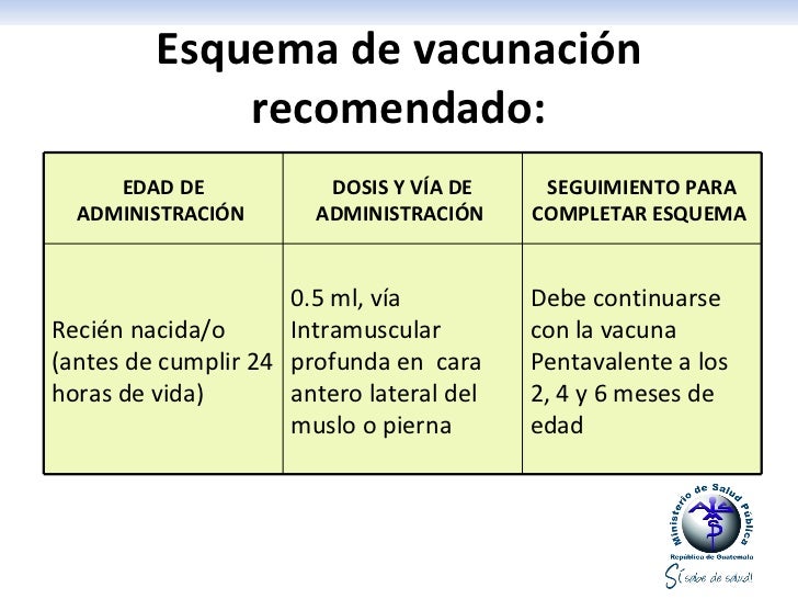 Lineamientos hepatitis b