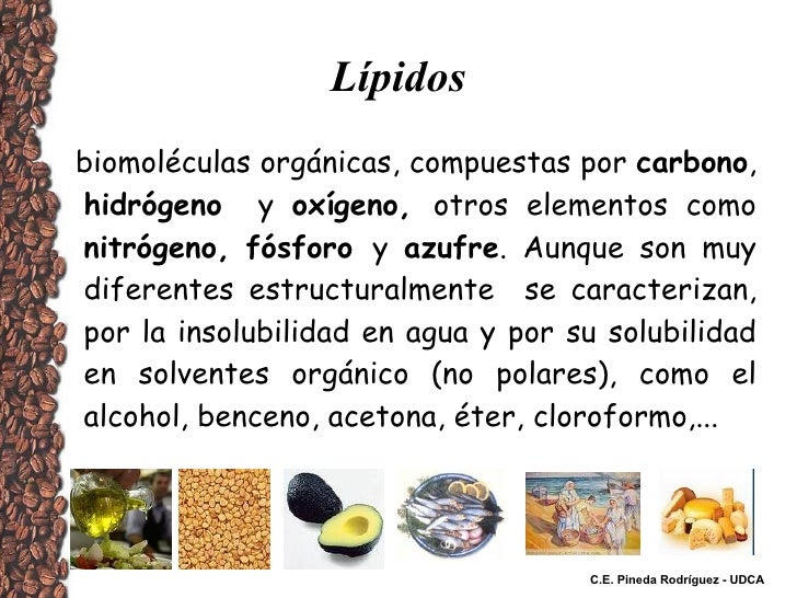 Lipidos