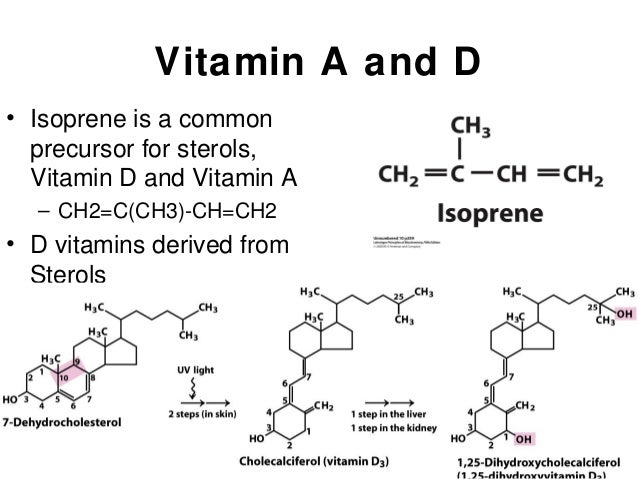 mouse poison with vitamin k antidote