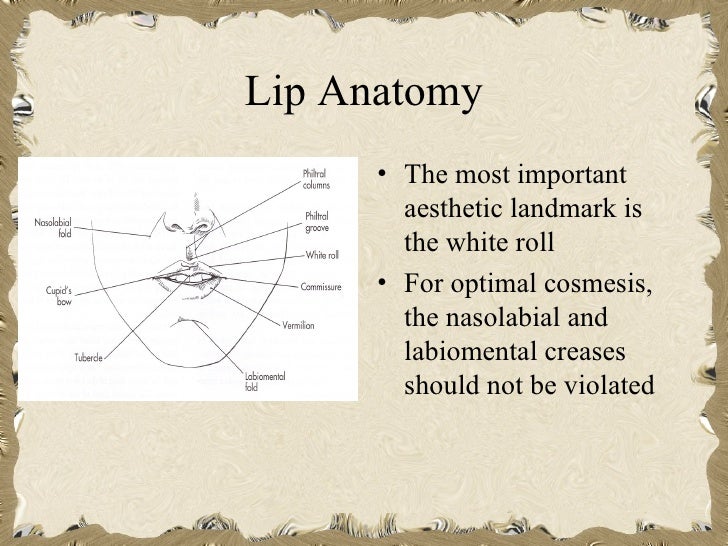 Lip reconstruction
