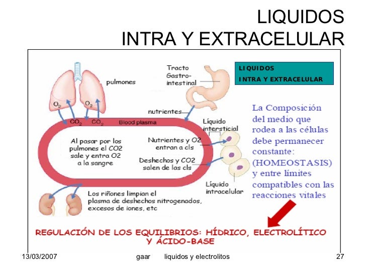 Liquidos Y Electrolitos