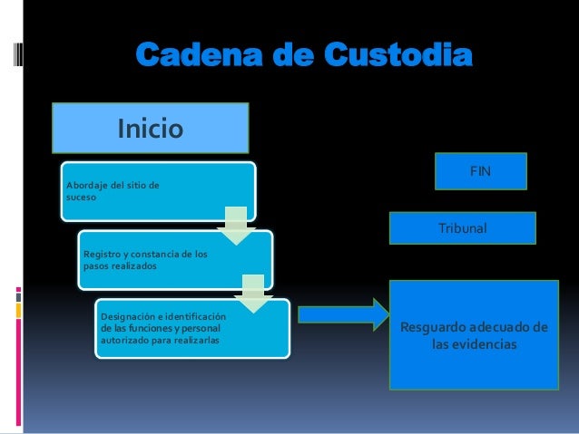 Cadena de Custodia