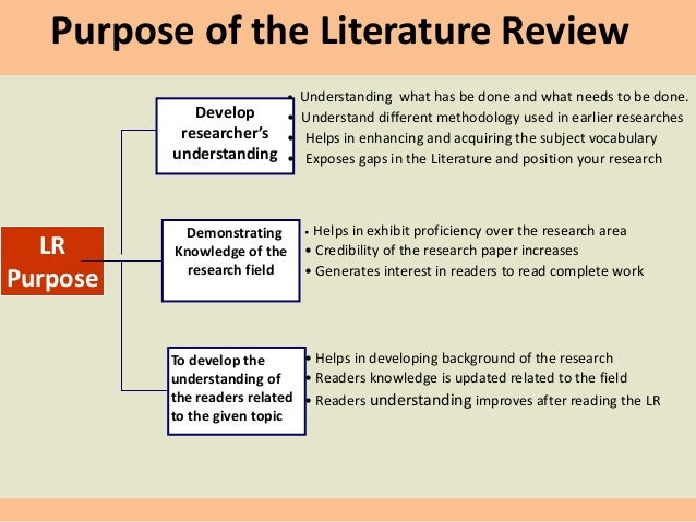 example of literature review essays