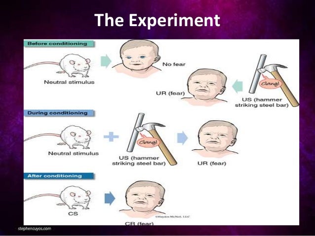 John Watsons Experiment: The Little Albert Experiment