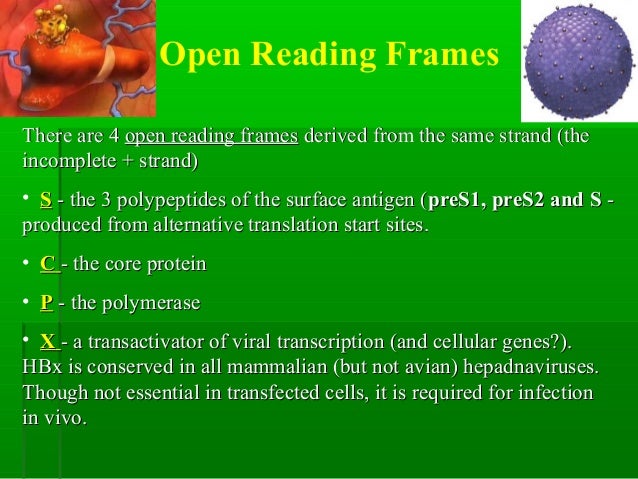 protection wild life essay protection wild life essay