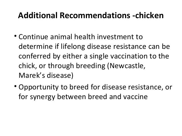 Laundry business plan doc image