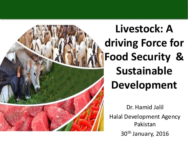 essay on food security for sustainable national development essay on food security for sustainable national development