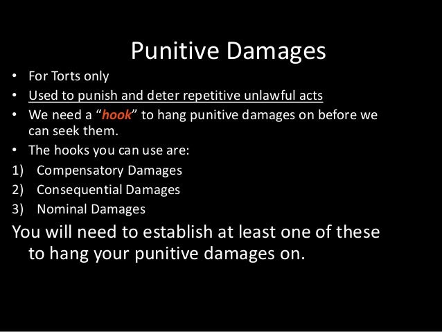 Punitive damages essay image