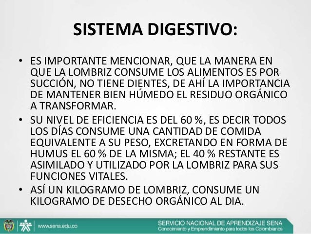 Como echar las lombrices por los medios públicos