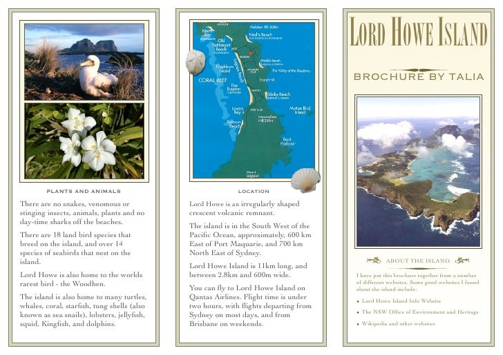 create a travel brochure