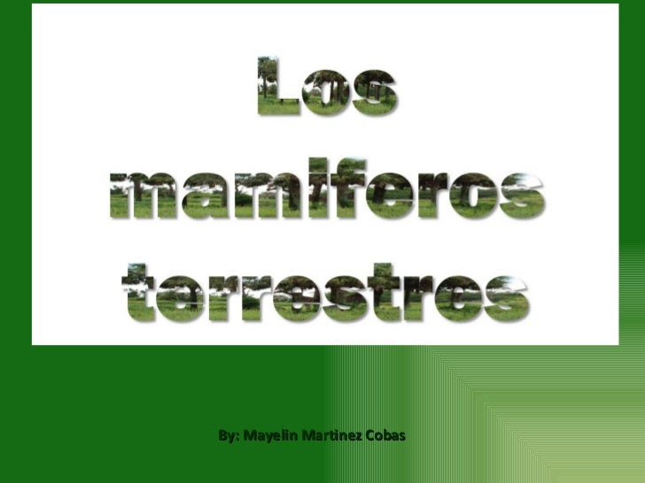 download Cases in Operations Management