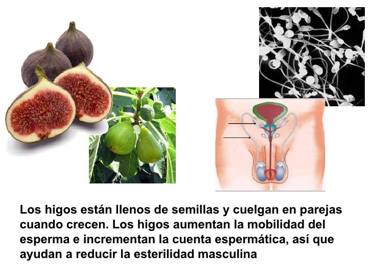 Los higos están llenos de semillas y cuelgan en parejas cuando crecen. Los higos aumentan la mobilidad del esperma e incre...
