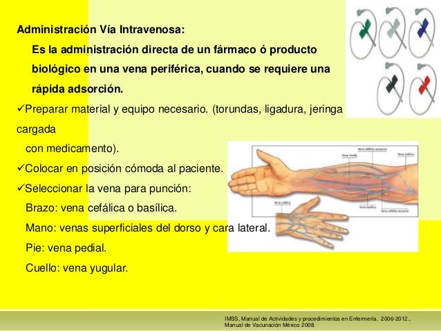7 correctos de enfermeria segun la oms 7 correctos de enfermeria segun la oms