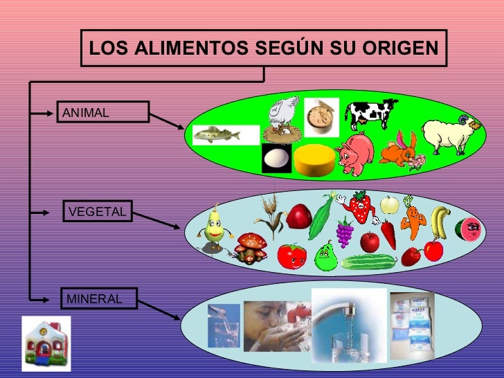 Dibujo de los alimentos segun su origen, animal vegetal y mineral Dibujo de los alimentos segun su origen, animal vegetal y mineral