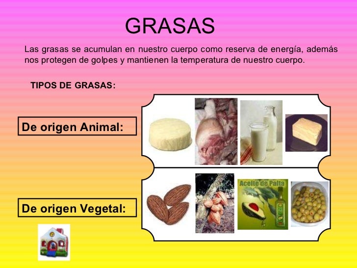 Los Alimentos