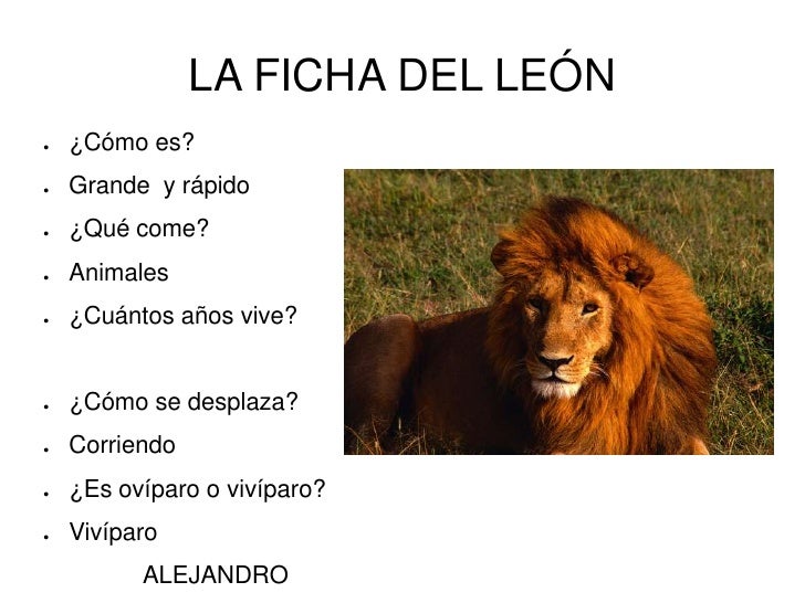 Los animales