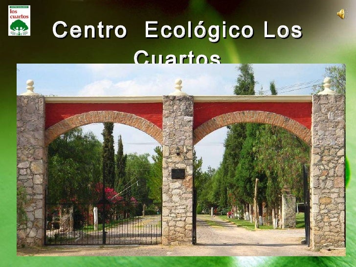 Los cuartos