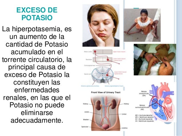 E con los pequeños miembros