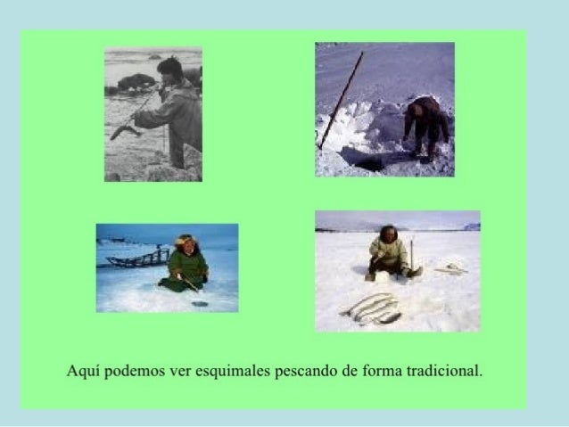 VESTIDO• SUS VESTIDOS SE HACEN CON PIELES DE FOCA CON EL PELO HACIA DENTRO Y FORRADAS DE PIEL DE OSO O ZORRO.