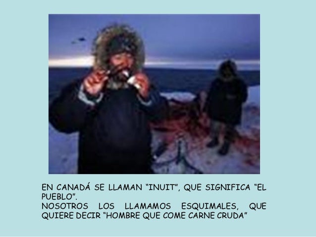 ASPECTO FÍSICO LOS ESQUIMALES TIENEN LOS OJOS ALMENDRADOS,. SU ESTATURA ES CORTA IGUAL QUE SUS EXTREMI...