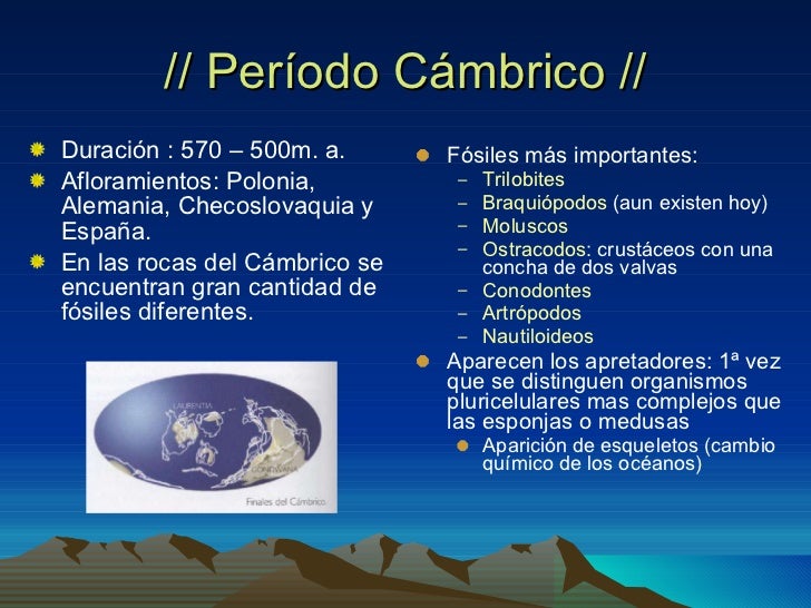 los-fosiles-10-728.jpg?cb=1312807850