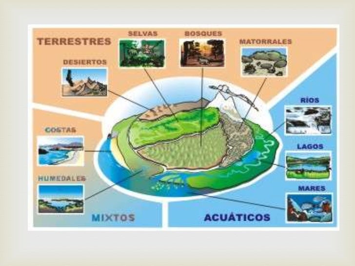 Los grandes ecosistemas acuaticos y terrestres Los grandes ecosistemas acuaticos y terrestres