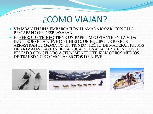 Los inuits