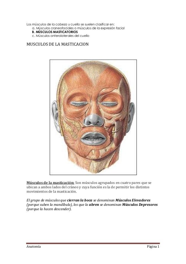 Muy fuerte el cuello cruje y duele de esto