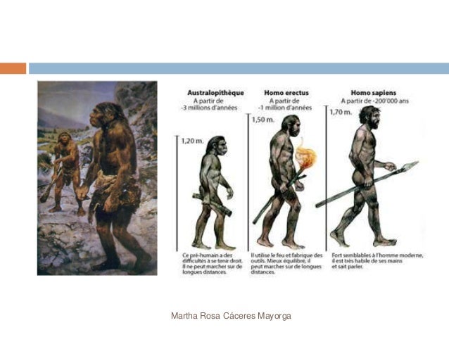 Los primeros seres humanos