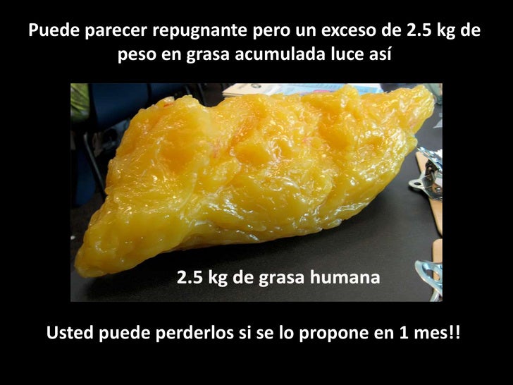1 Kilo De Grasa Vs Musculo