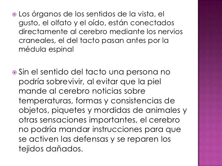 Atopichesky la dermatitis al niño 2 meses