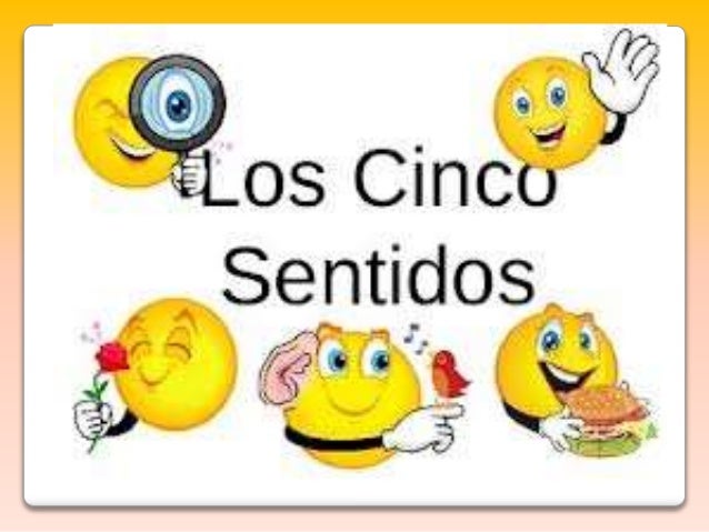Los 5 Sentidos Los 5 Sentidos