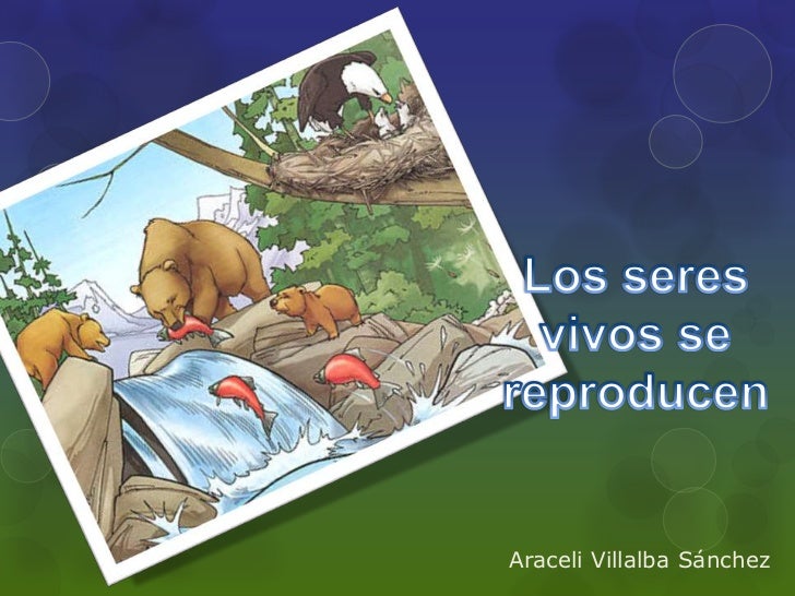 Diversas Espécies De Seres Vivos Se Reproduzem