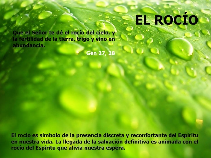 EL ROCÍOQue el Señor te dé el rocío del cielo, yla fertilidad de la tierra, trigo y vino enabundancia. ...