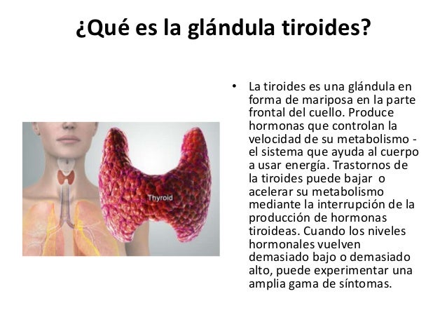 Los síntomas de la tiroides y soluciones Los síntomas de la tiroides y soluciones