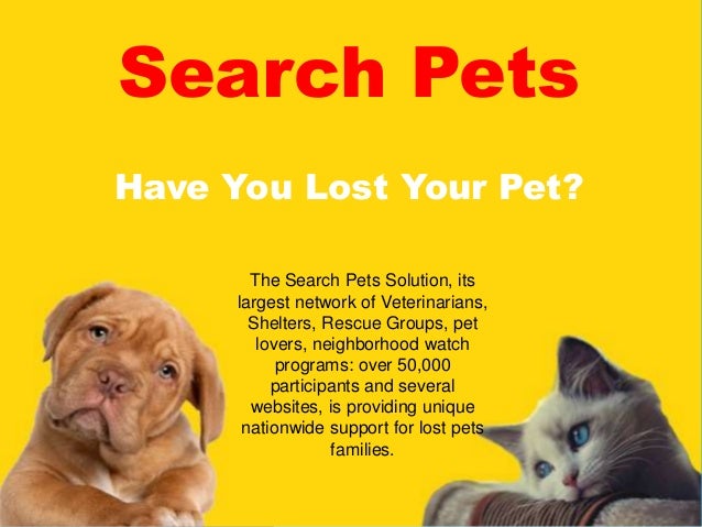 Search pets Lost Pets Finder How to find a lost pet