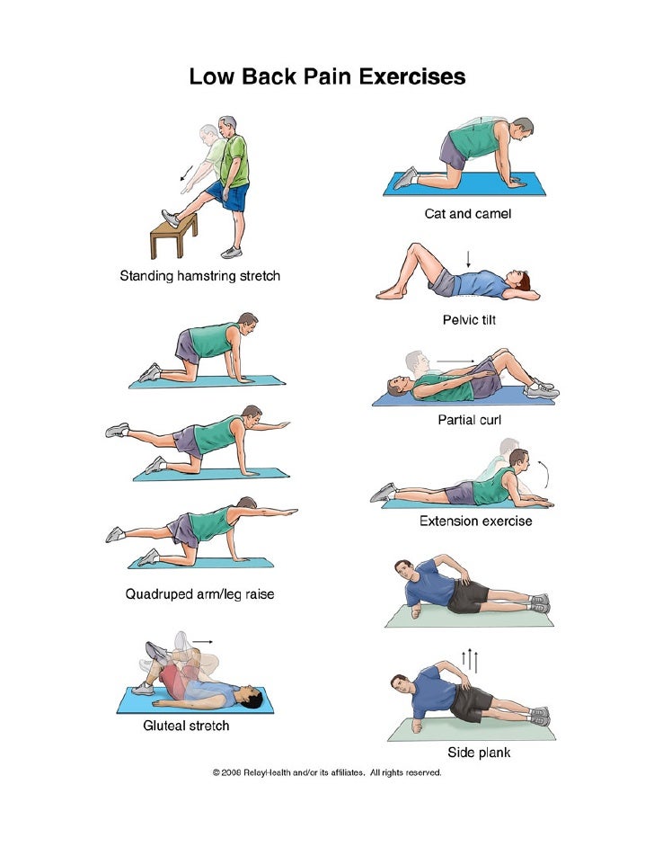 Ejercicios+De+El+Dolor+Lumbar Rehabilitacion: Ejercicios Para el Dolor de Espalda | Quiropractico ...