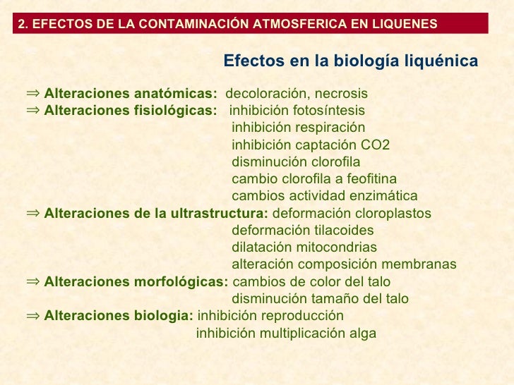 2. EFECTOS DE LA CONTAMINACIÓN ATMOSFERICA EN LIQUENES Efectos en la biología liquénica <ul><li>Alteraciones anatómicas:  ...