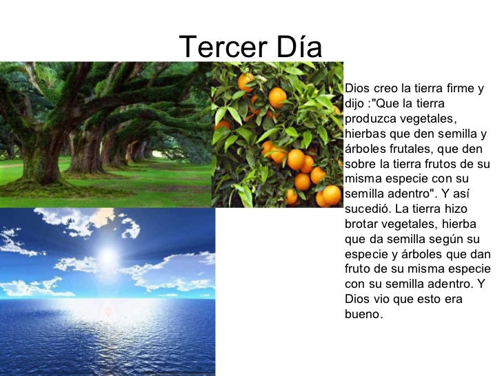 La creación