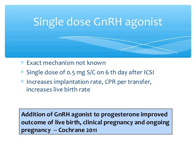 Clomid Low Progesterone Levels