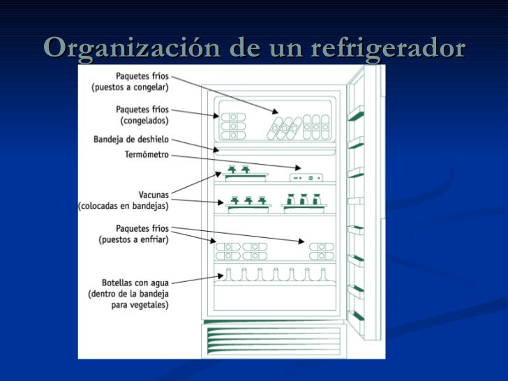 VACUNACION SEGURA