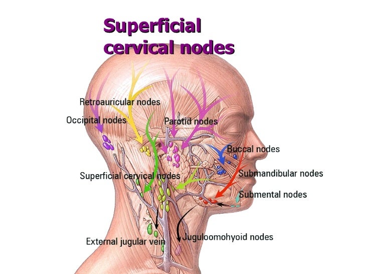xlear chronic sinusitis sinus troubles pituitary tumor