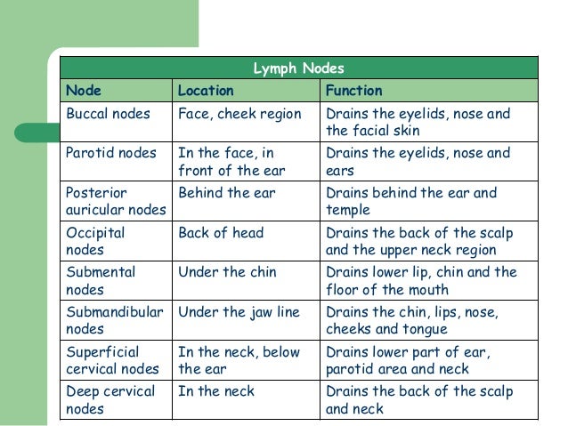 Lymphatic system