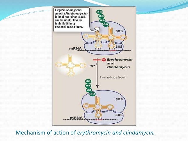 Watch Telithromycin video Watch Telithromycin video